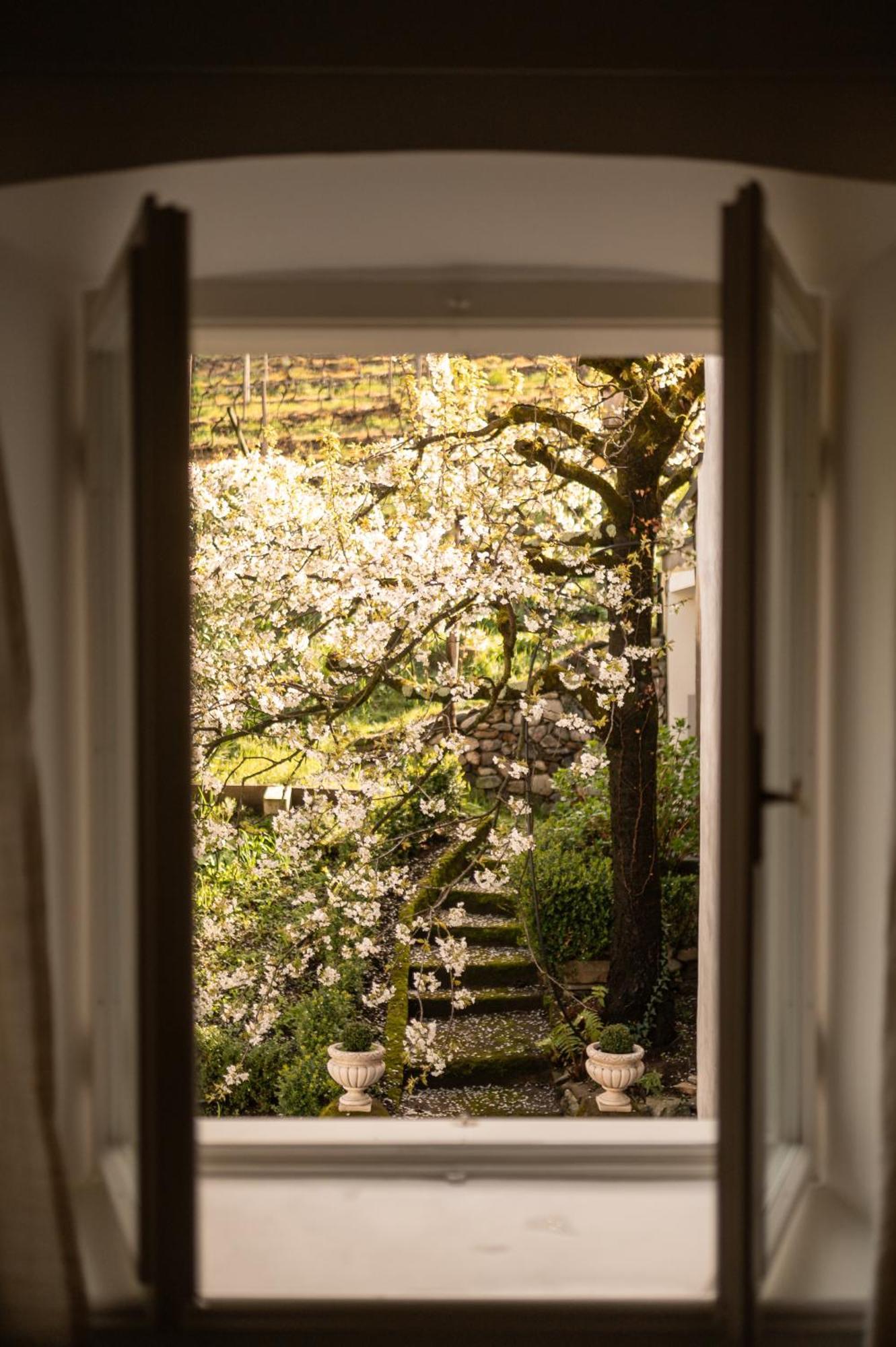 Ottmanngut Suite And Breakfast Merano Exteriör bild